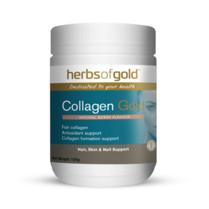 Image of Herbs of Gold Collagen Gold Supplement