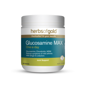 Glucosamine Max joint supplement
