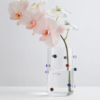 POMPONETTE VASE CLEAR MULTI (3)